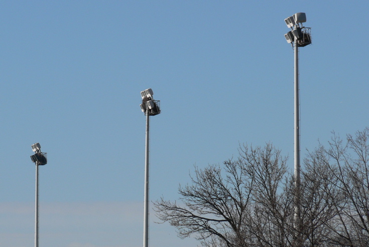 Monk Parakeet nests on light poles at Brooklyn College