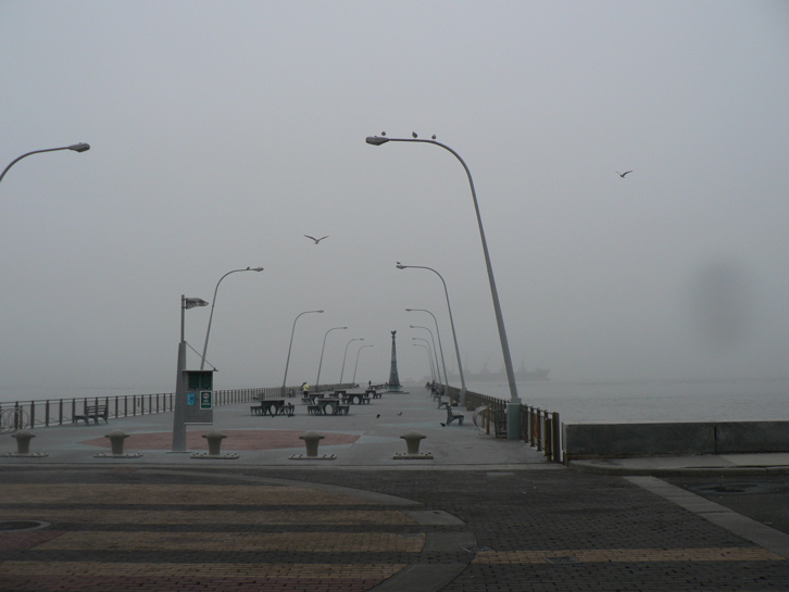 Veterans Memorial Pier in Bay Ridge on a foggy January Friday