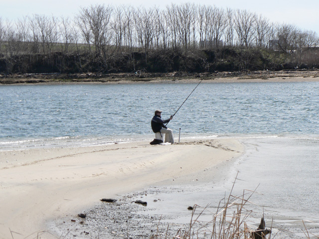 Fisherman in Sommerville Basin