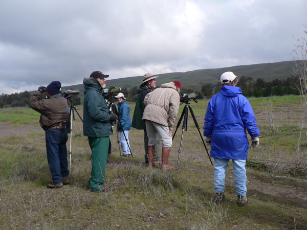 Santa Clara Valley Audubon Society at Ogier Ponds, 3/11/06