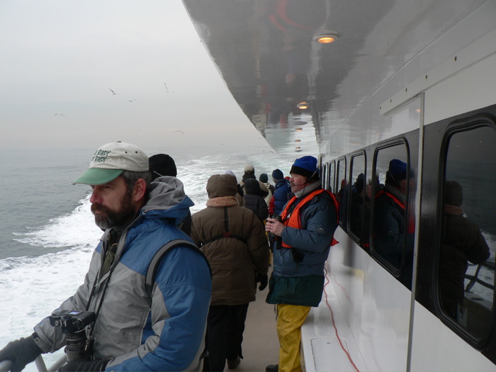 Birding on the Captain Lou 7, February 11, 2006