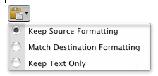 Word paste popup menu
